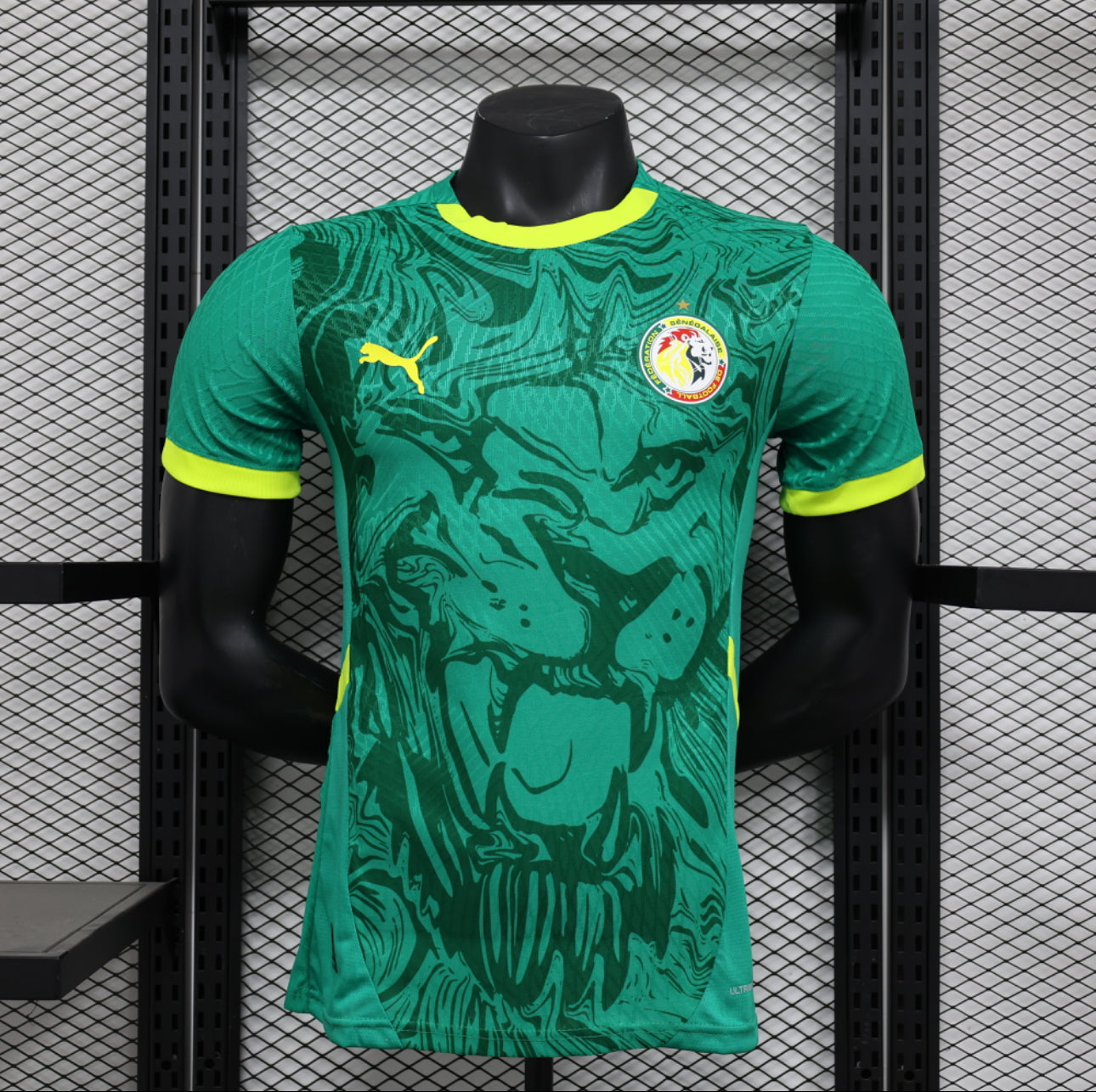 Senegal Football Sherpa Hoodie 2024 Go Champions Lions De La Teranga LT14