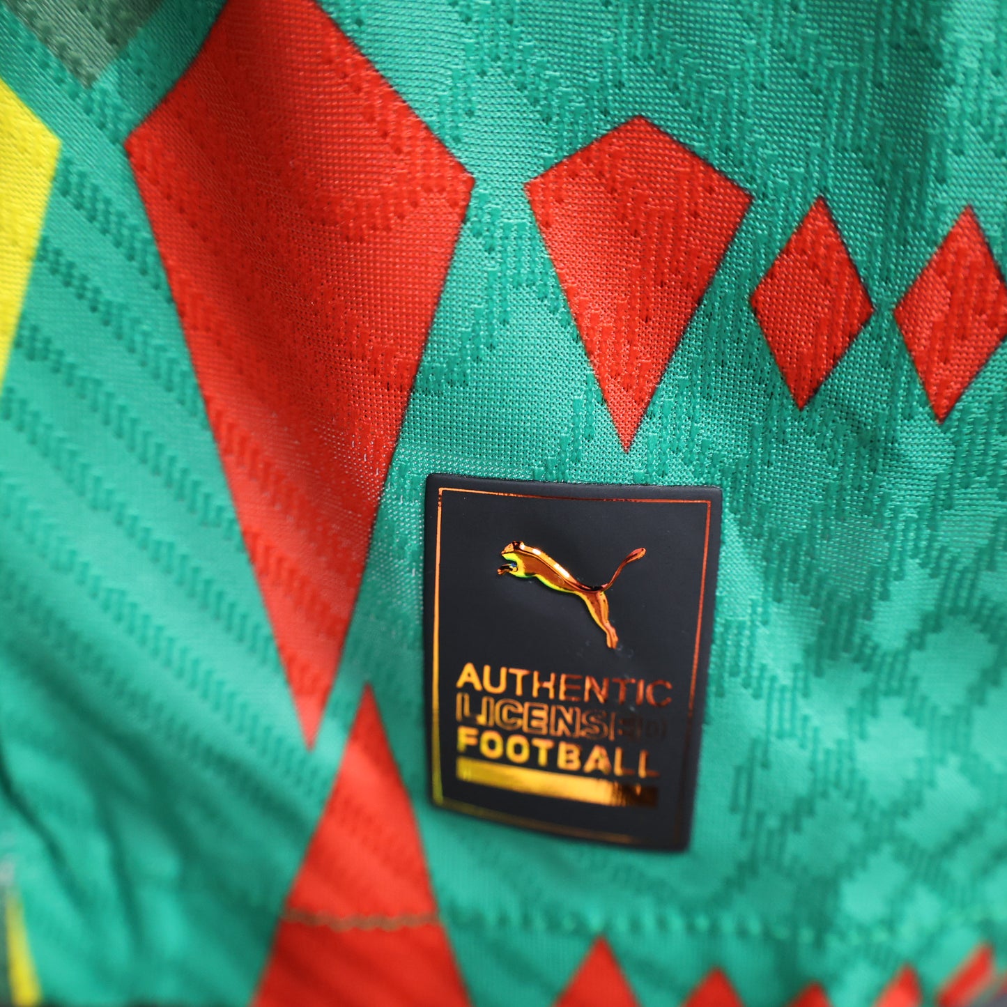 Maillot Sénégal/Senegal domicile * Player Version * 2023/24