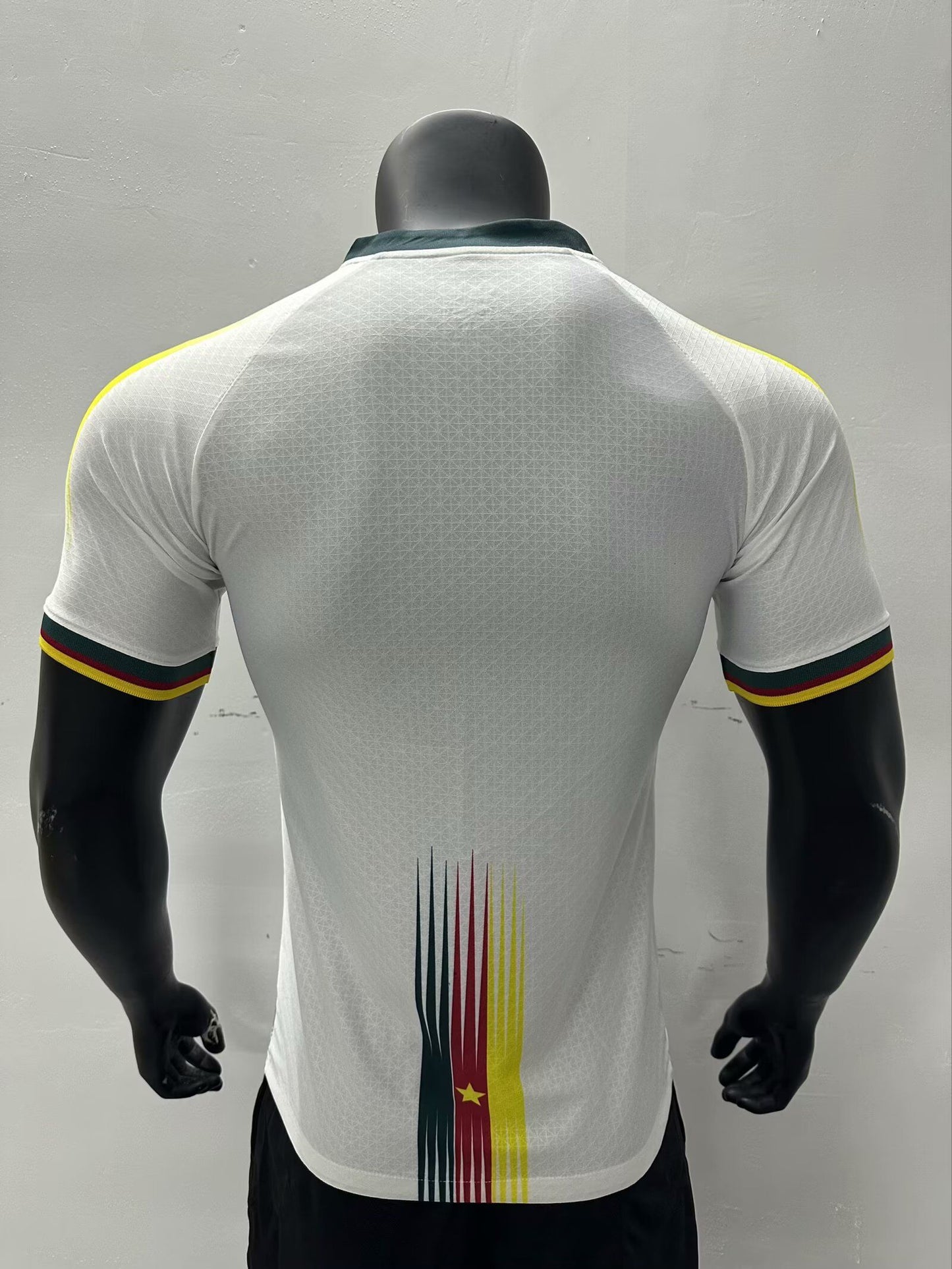 Maillot Cameroun/Cameroon spécial Player Version 2023/24