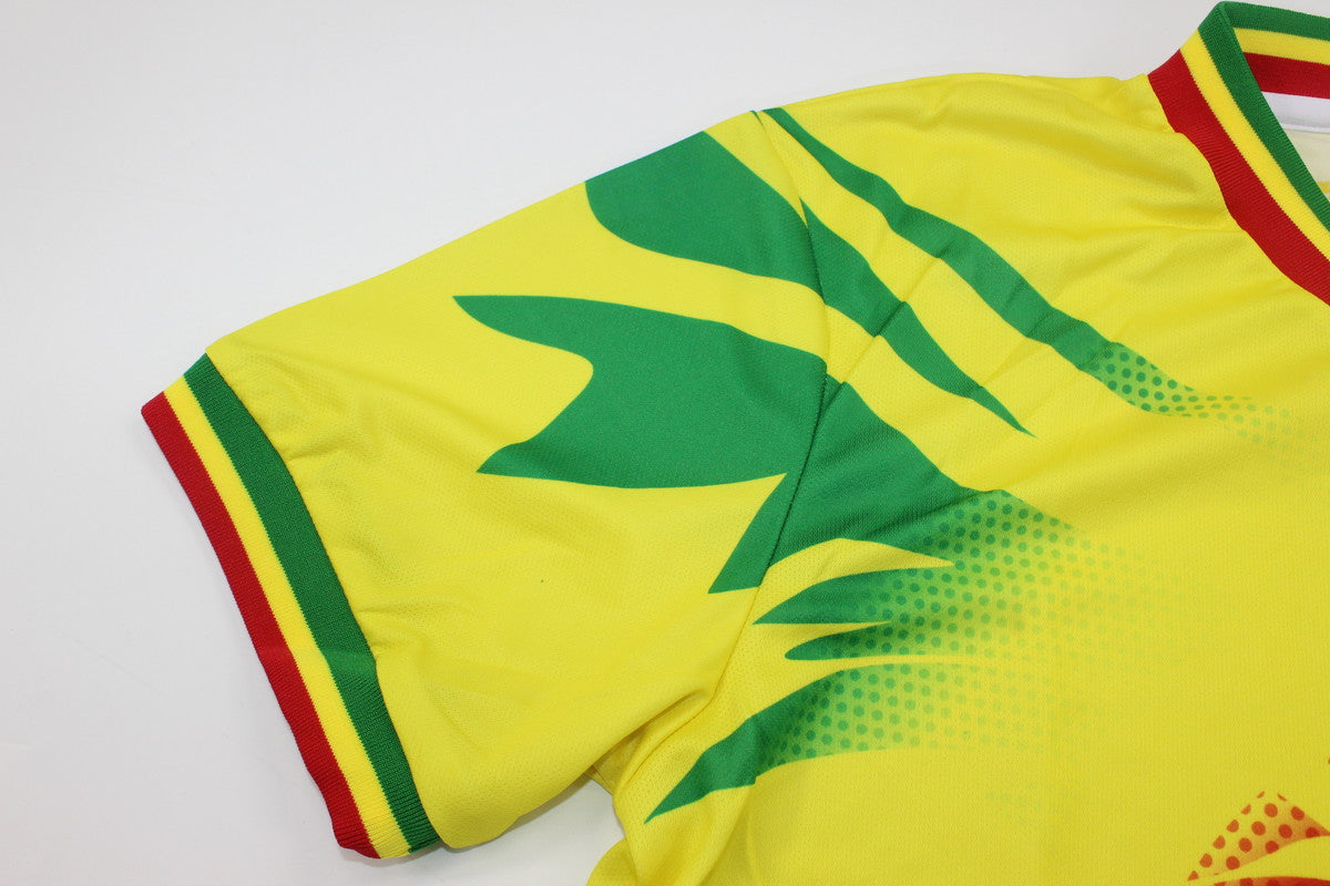 Maillot Mali entraînement jaune/yellow 2023/24 – Play-foot