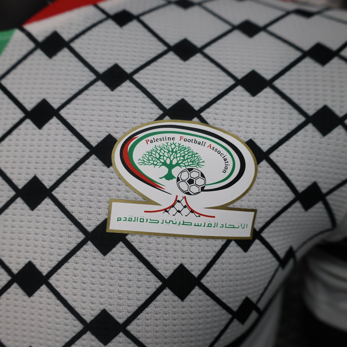 Maillot Palestine Football Association Player Version 2024/25