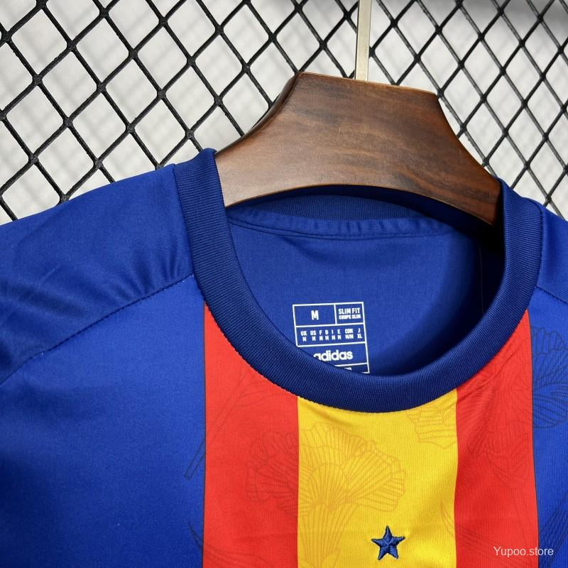 Maillot football Espagne Spain training entraînement 2024/25