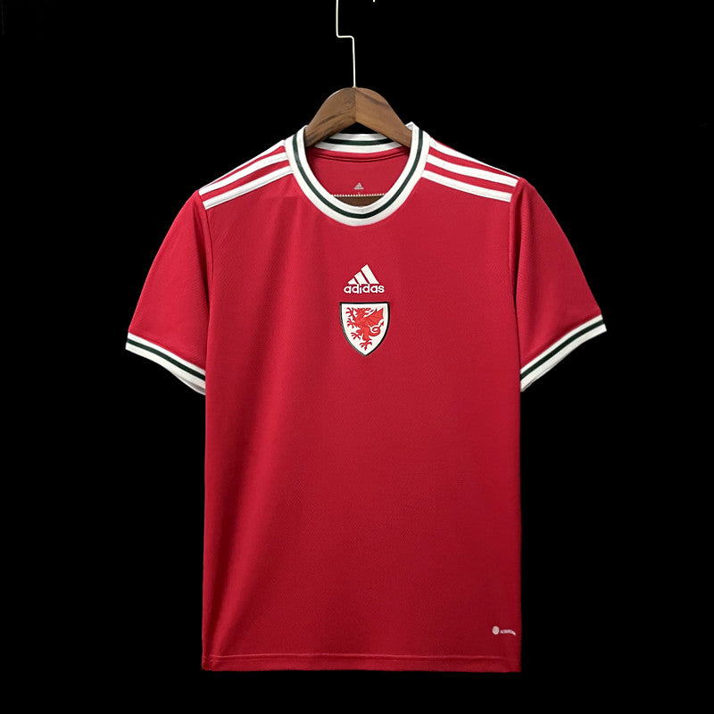 Maillot Pays-de-Galles Wales domicile 2022/23