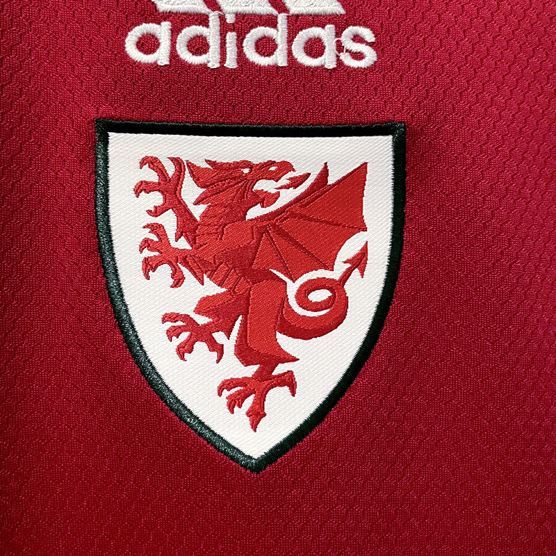 Maillot Pays-de-Galles Wales domicile 2022/23